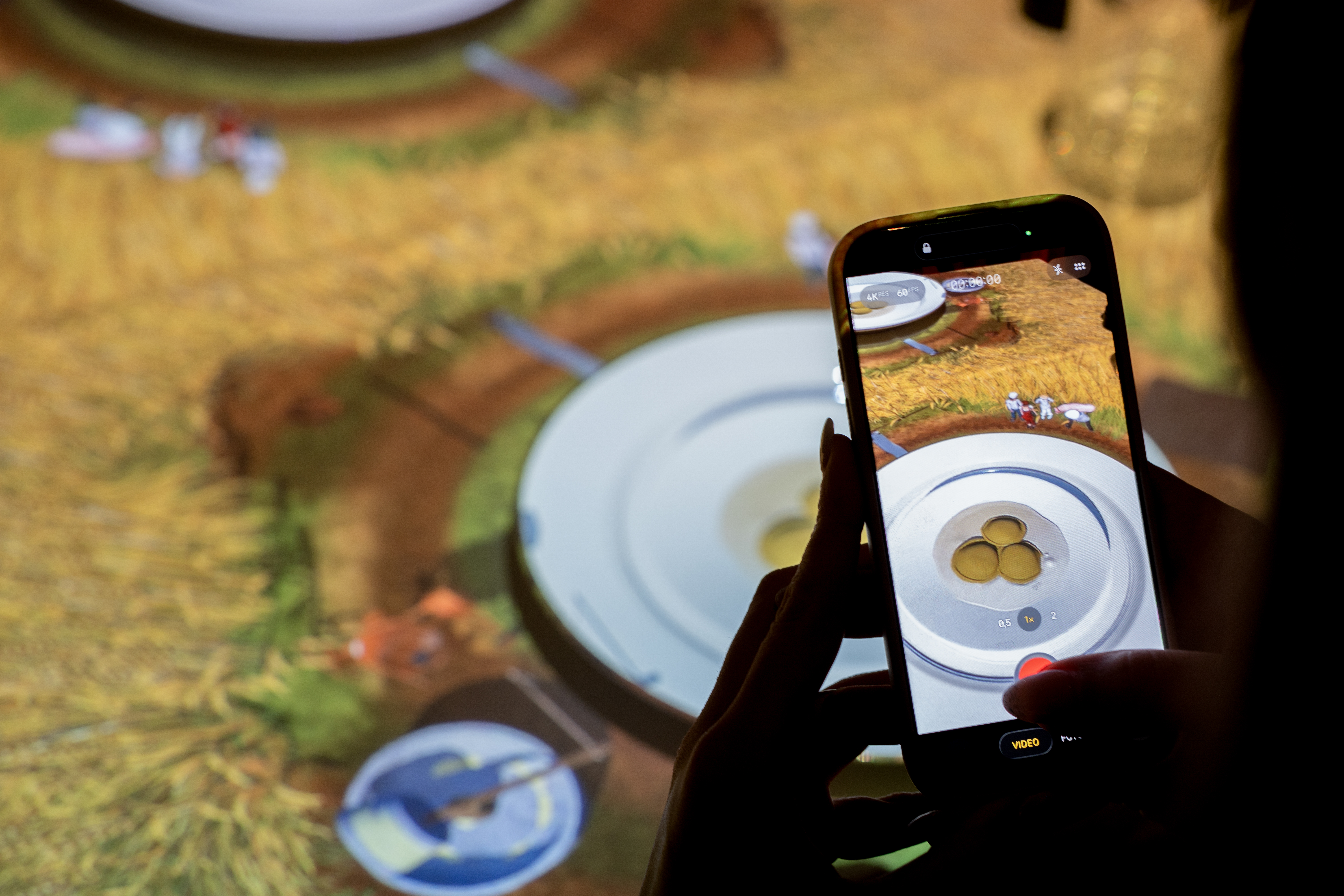 3D table projection in Hobart