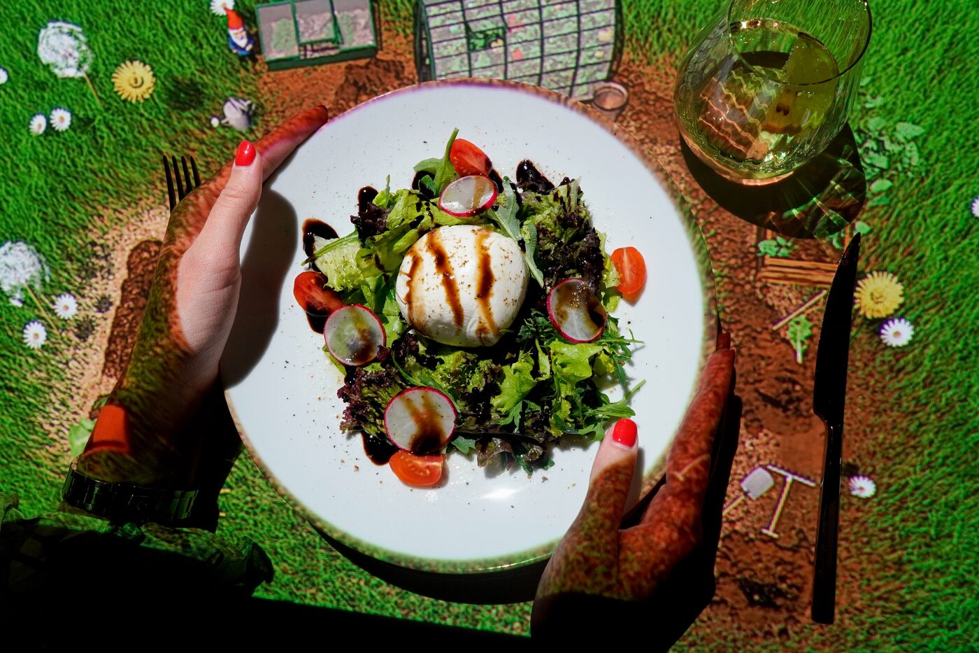 Salat, serviert auf der 3D-Gartenprojektion